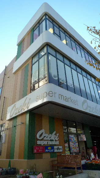 ソアラノーム大岡山 周辺画像3