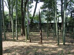 ステラメゾン碑文谷 周辺画像10