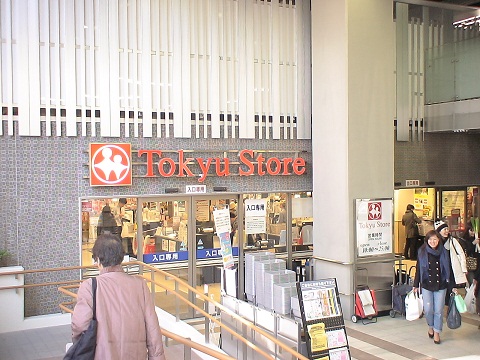 ステラメゾン碑文谷 周辺画像2