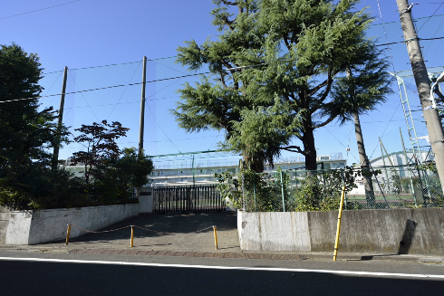 平町ハイツ 周辺画像3