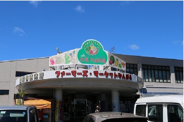沖縄県名護市宇茂佐の森２丁目 その他