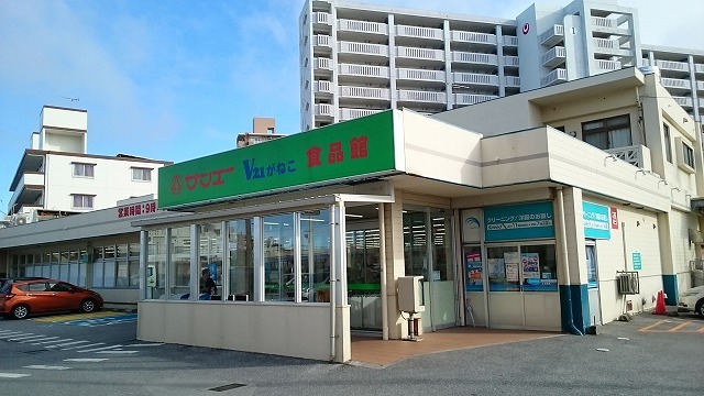 沖縄県宜野湾市志真志３丁目 その他
