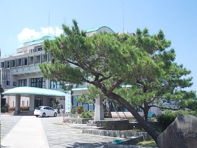 沖縄県国頭郡宜野座村漢那 その他