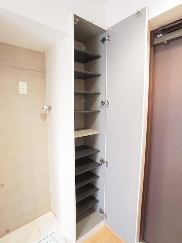 Camphor tree 収納