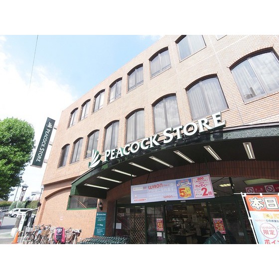Camphor tree その他