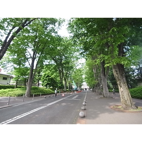 West　Cape その他