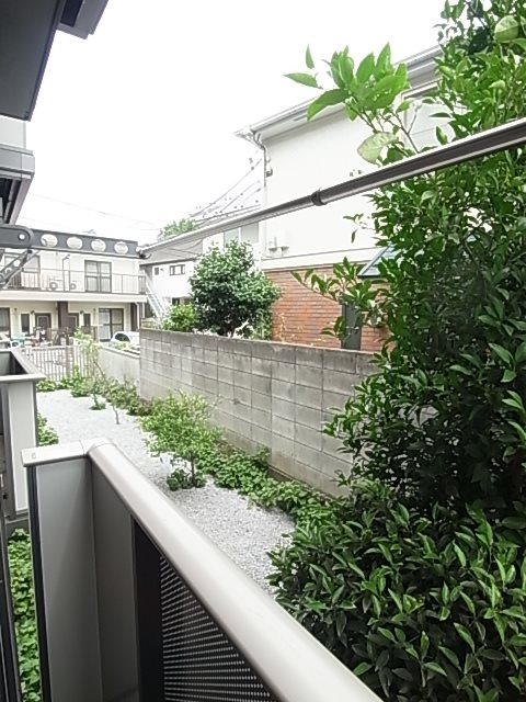 メープルリーフ 眺望