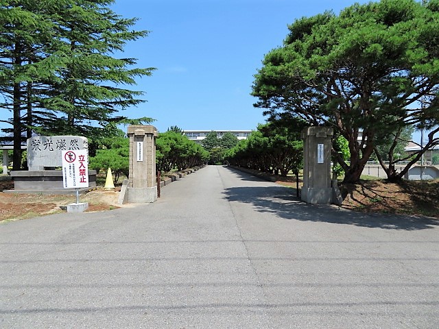 アウルズ・シティ その他