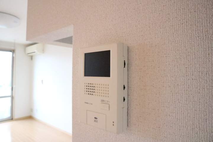 ディアスＫＡＺＵ　Ⅳ セキュリティ