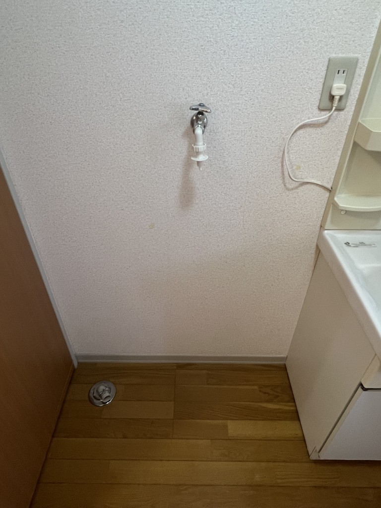 エヴァーグリーンＣ その他