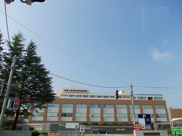 秋田県秋田市柳田鳥越 その他