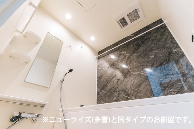 秋田県秋田市将軍野南１丁目 風呂画像