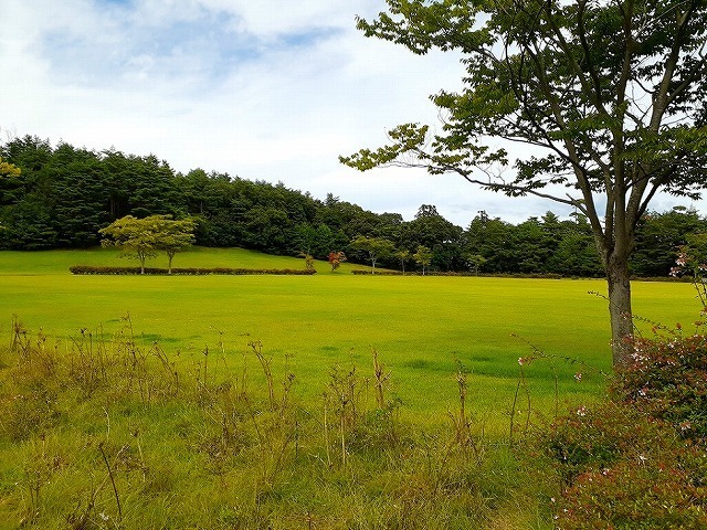 秋田県潟上市天王追分 その他
