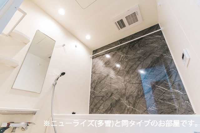秋田県秋田市牛島西１丁目 風呂画像