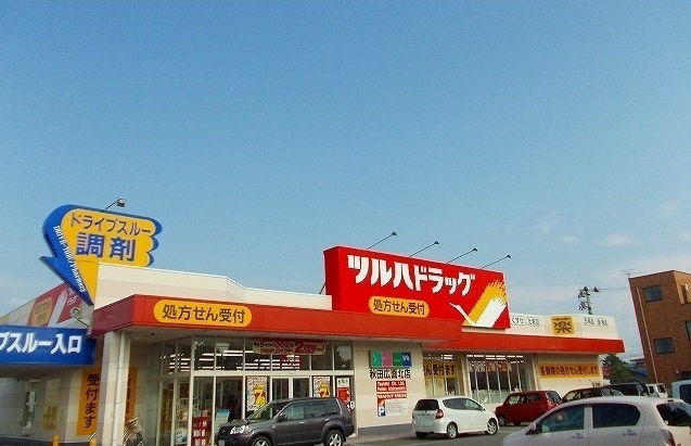 秋田県秋田市広面蓮沼 その他