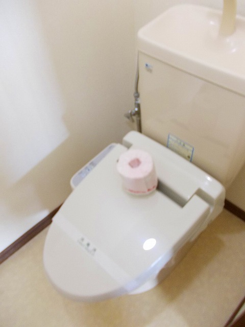秋田県秋田市外旭川神田 トイレ