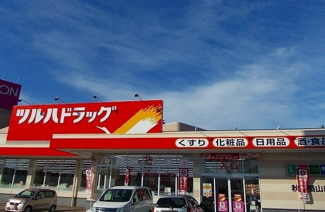 秋田県秋田市川元小川町 その他
