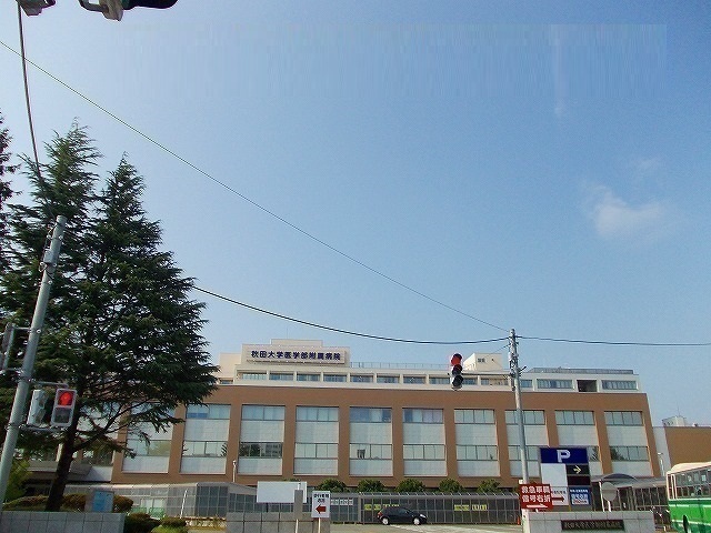 秋田県秋田市柳田境田 その他