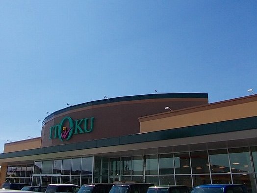 秋田県秋田市将軍野東１丁目 その他