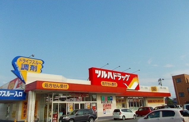 秋田県秋田市広面川崎 その他