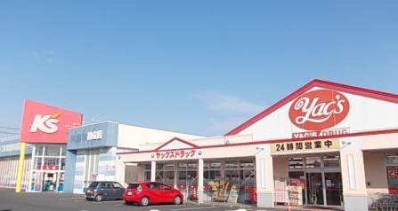 茨城県かすみがうら市稲吉東４丁目 ドラッグストア