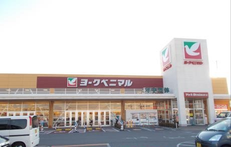 茨城県土浦市真鍋新町 スーパー
