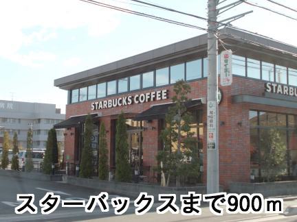 茨城県土浦市真鍋４丁目 その他