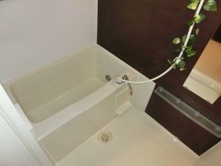 茨城県稲敷郡阿見町住吉２丁目 風呂画像