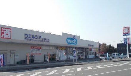 茨城県土浦市下高津３丁目 ドラッグストア