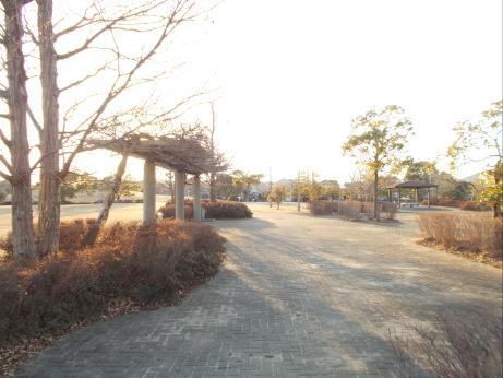 茨城県土浦市おおつ野５丁目 その他
