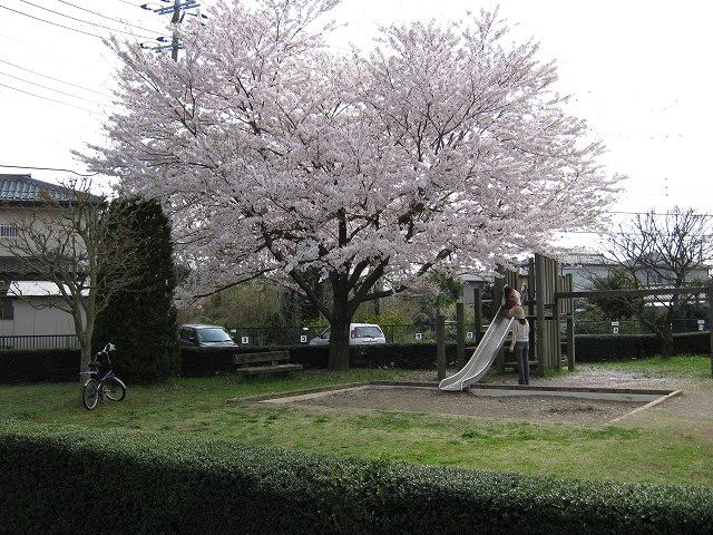 茨城県牛久市南２丁目 その他