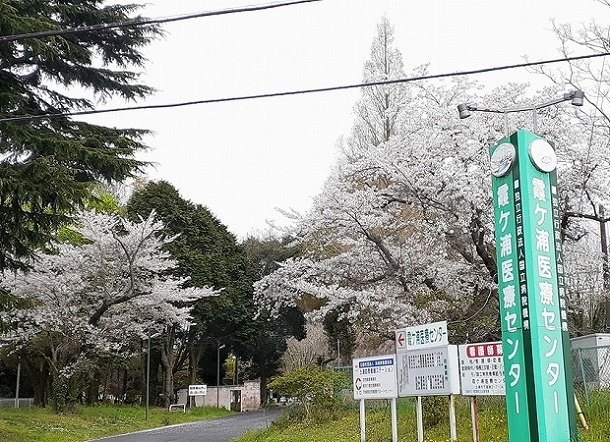 茨城県土浦市下高津４丁目 その他