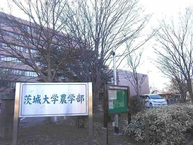 茨城県稲敷郡阿見町阿見 その他