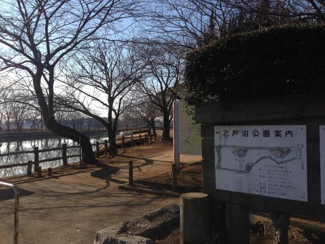 茨城県土浦市乙戸 その他