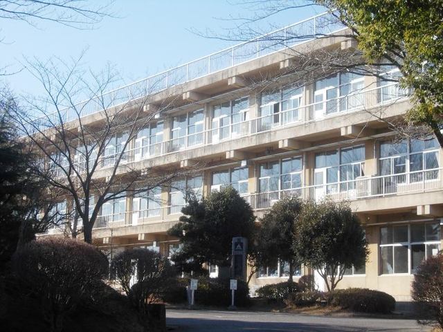 茨城県土浦市右籾 その他