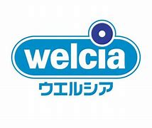茨城県土浦市藤沢 ドラッグストア