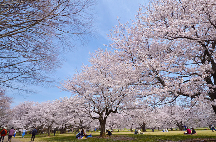 第一大興ビル 公園