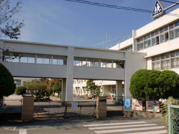 スインセリティ  小学校