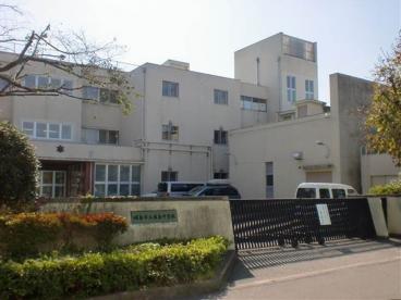 メゾンブルースカイ  中学校
