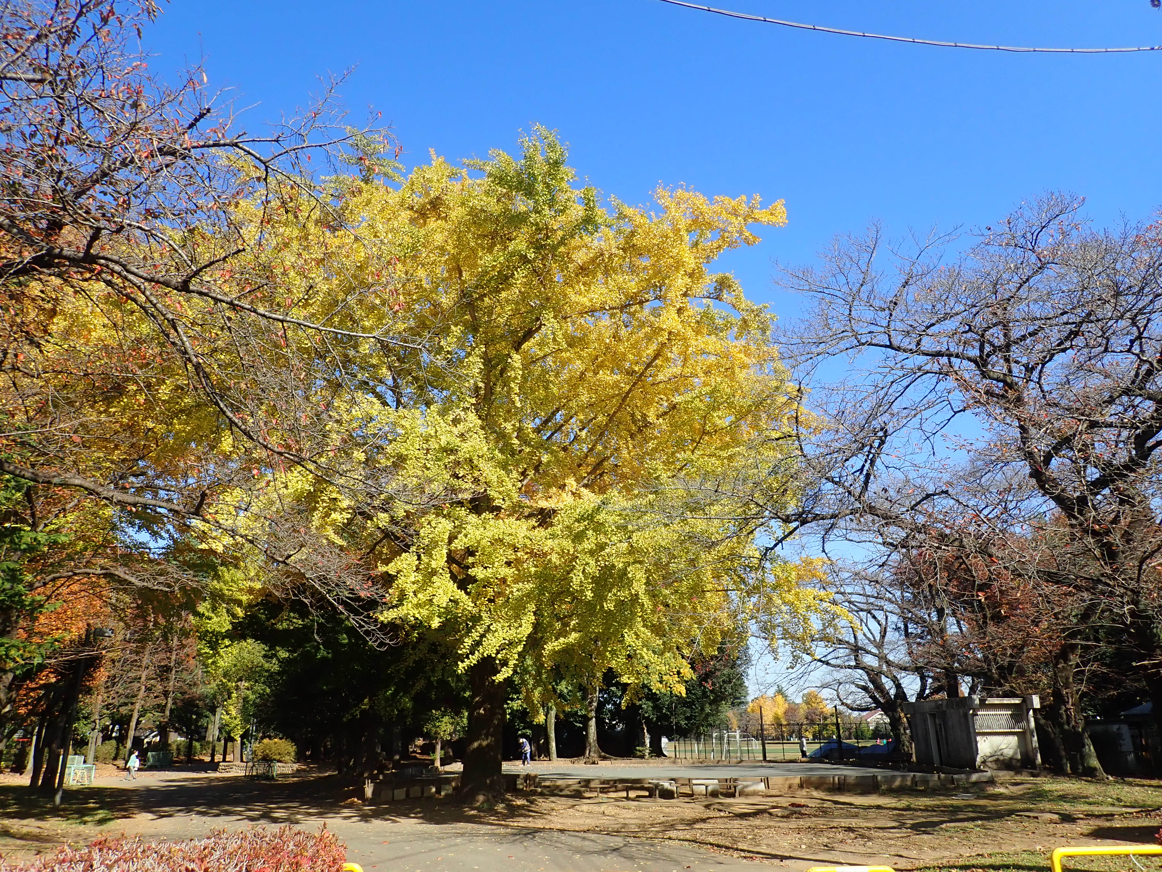 遠藤ビル 周辺画像4