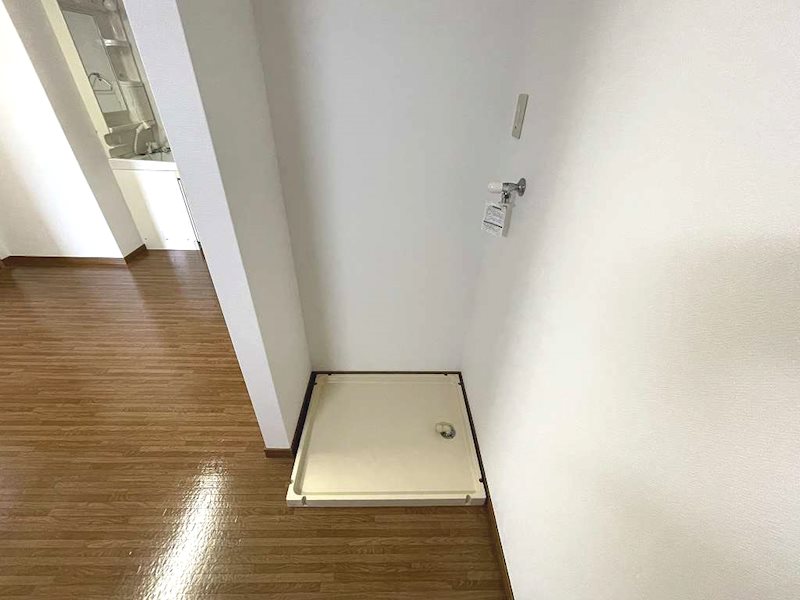 ヴィルドミール その他8