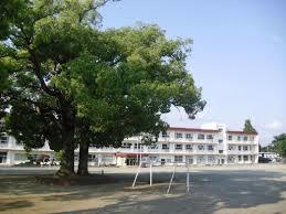 VICTORIA 小学校