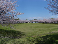 エルミタージュA 周辺画像9