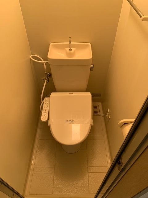 Shibata　BLD その他4