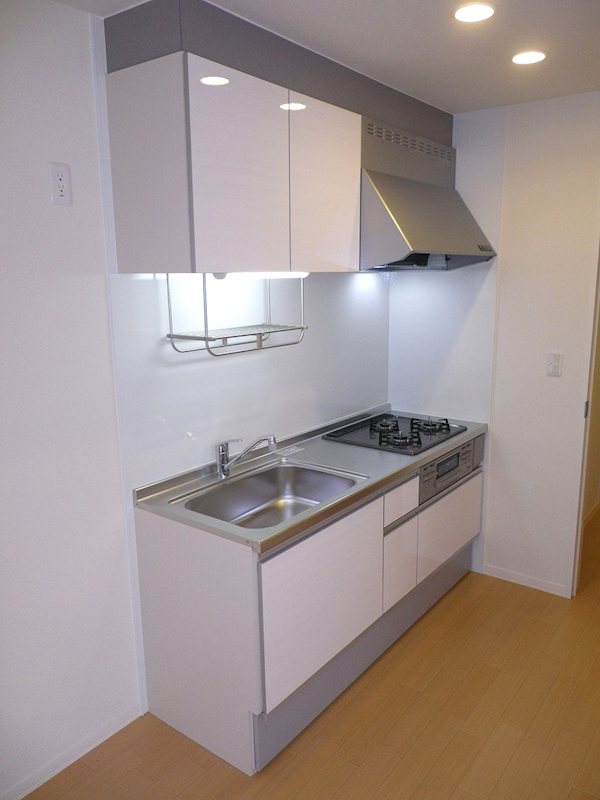 稲田邸 キッチン