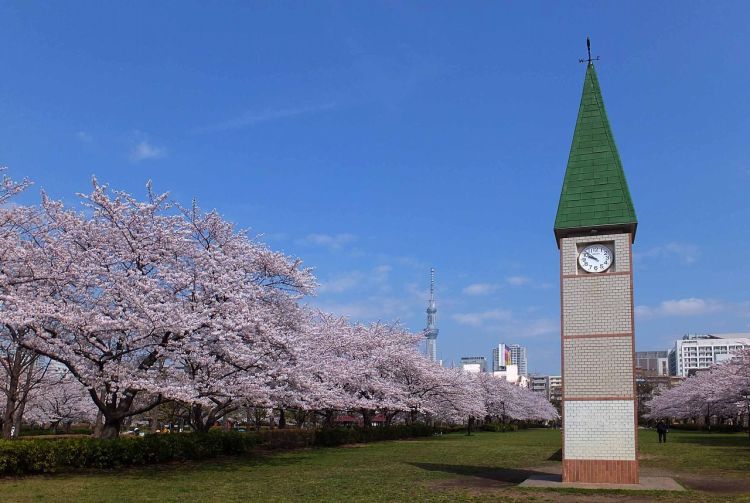 シャリエール住吉 周辺画像8