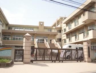 アーリーリバー 小学校
