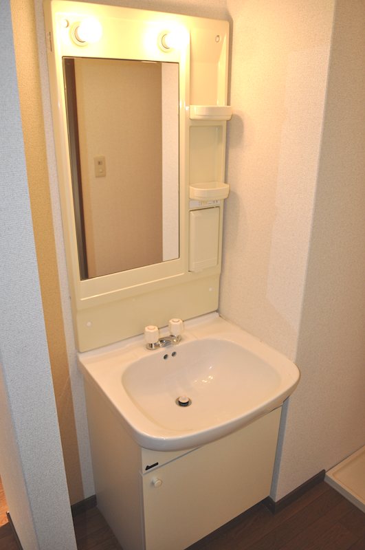 アネックスアリス その他2