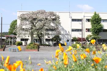 アマーレ 周辺画像4