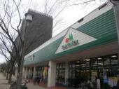 The NOBUTO HILLS GARDEN COURT 周辺画像7